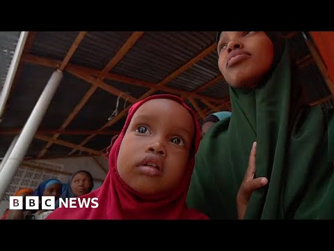 Droughts don’t need to result in famine: Ethiopia and Somalia show what makes the difference