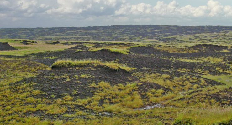 Carbon farming: how smart agriculture can both feed people and fight climate change