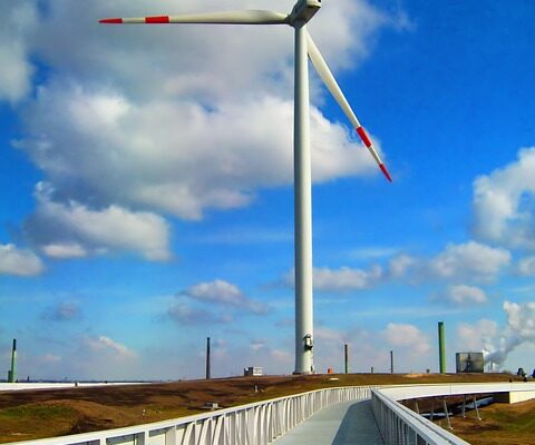 Germany adds 50% more Wind Power Year over Year as Approvals are Streamlined