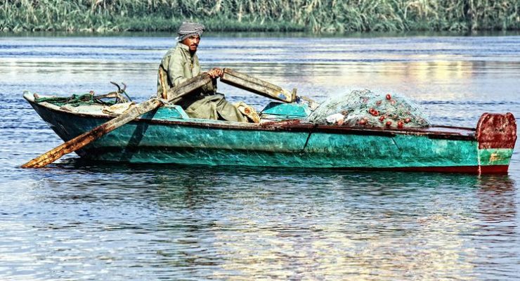 Microplastics found in Nile River Fish: Toxic Pollution threatens World’s Longest River