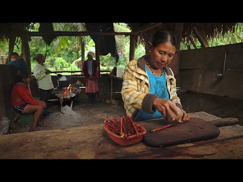 Our Health depends on Indigenous Botanical Knowledge and Plants that are rapidly being Destroyed