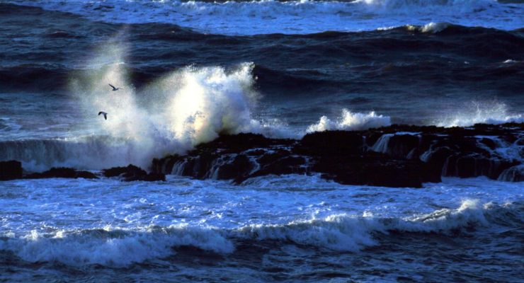 It might be the world’s biggest ocean, but the mighty Pacific is in peril