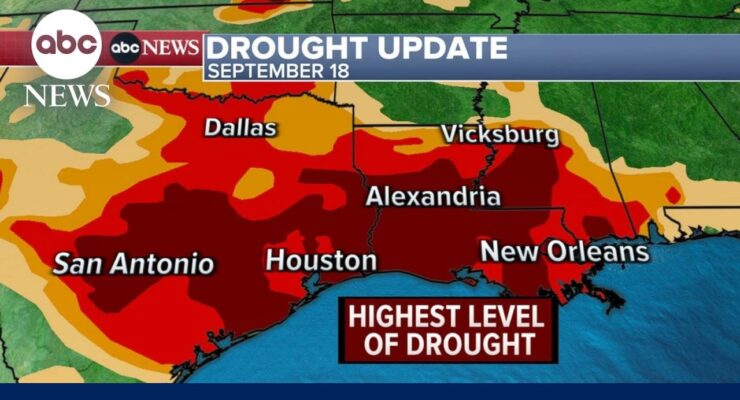 Sister Cities in Climate Crisis: New Orleans, Basra, Alexandria face Saltwater Intrusion, Fresh Water Shortage