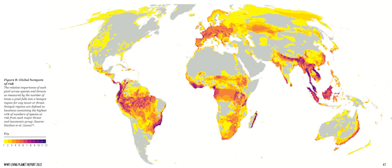 The Second Great Dying: The Earth has lost 4/5s of Fresh Water and 7/10s of Wildlife Species’ Populations in 50 Years