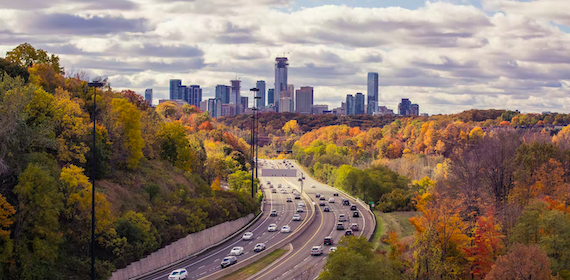 To attain global Climate and Biodiversity Goals, we must reclaim Nature in our Cities