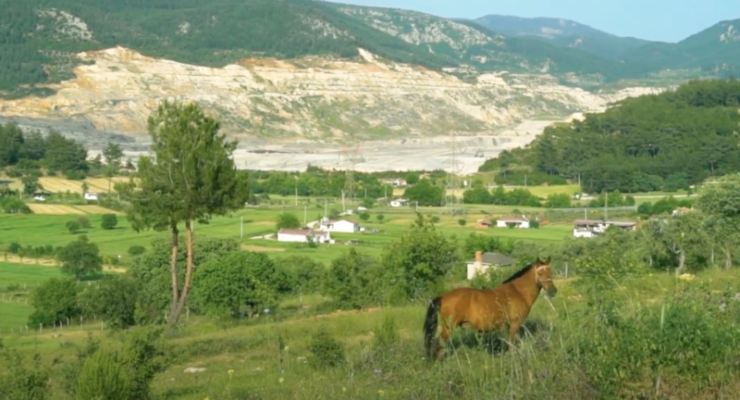 Climate Crisis: Though Turkey’s Forests are at Risk from Wildfires, the Country is still Wedded to Dirty Coal